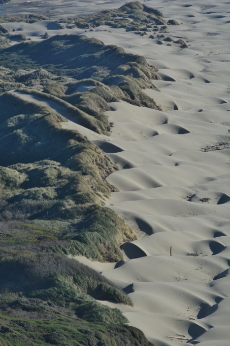 dunes coastline